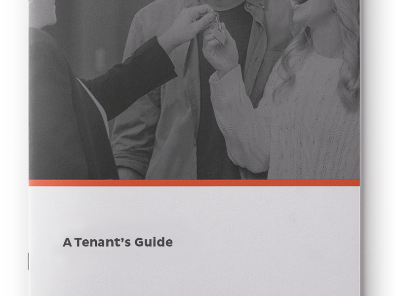 Lettings agency - Tenants guide