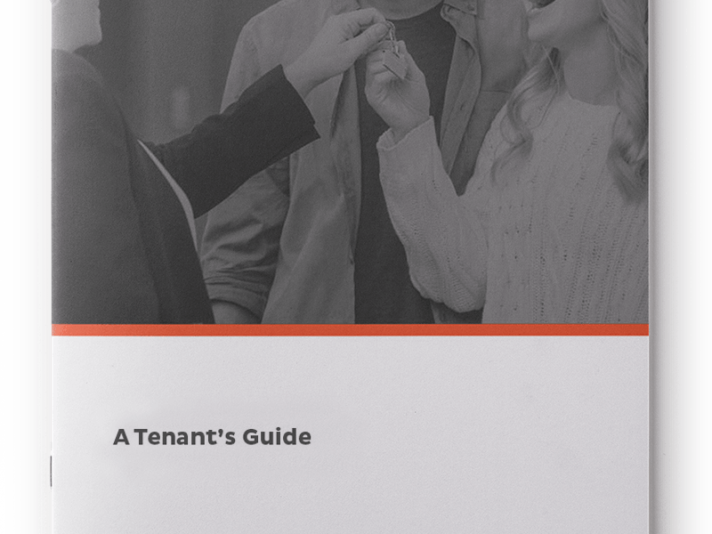 Lettings agency - Tenants guide